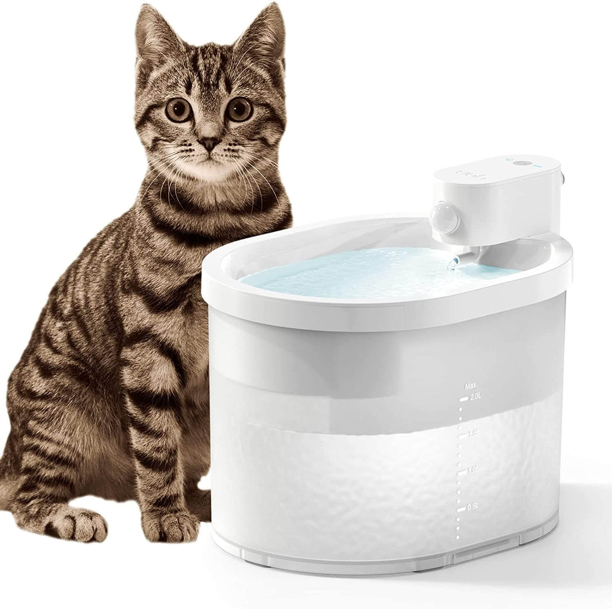 Smarter Katzentrinkbrunnen mit Sensor