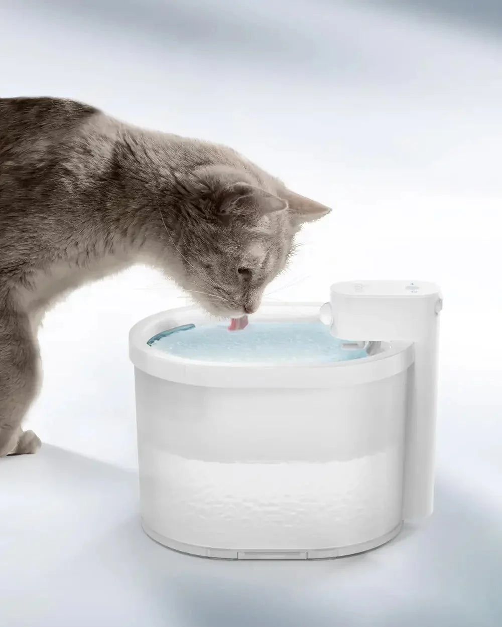 Smarter Katzentrinkbrunnen mit Sensor