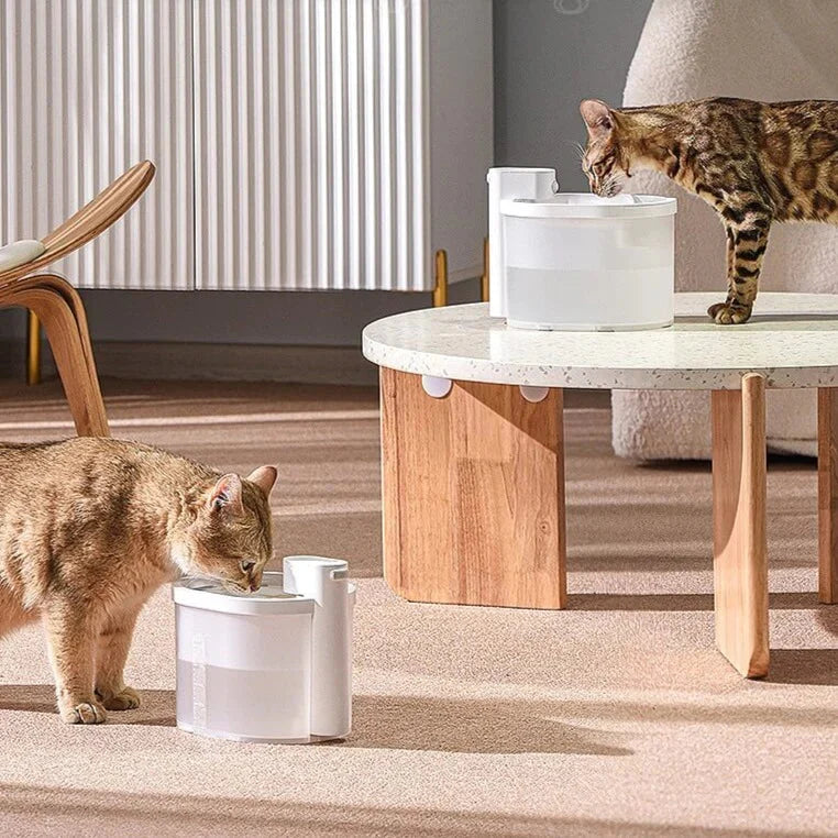 Smarter Katzentrinkbrunnen mit Sensor
