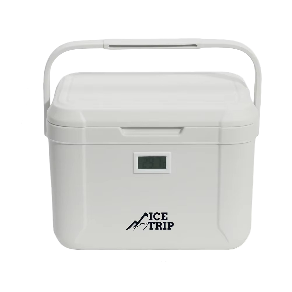 Tragbare Mini-Kühlbox für Auto und Camping – kompaktes Design
