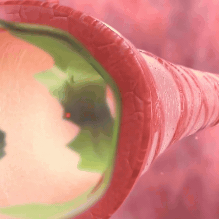Tragbarer Inhalator