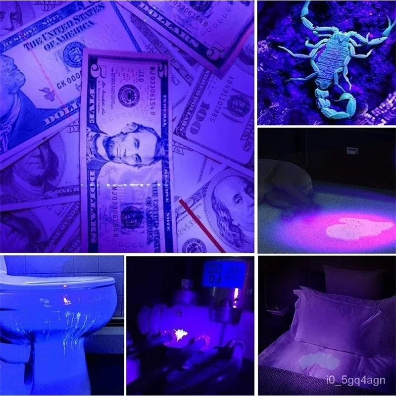 UV-Taschenlampe zur Erkennung von Bettwanzen und Flecken