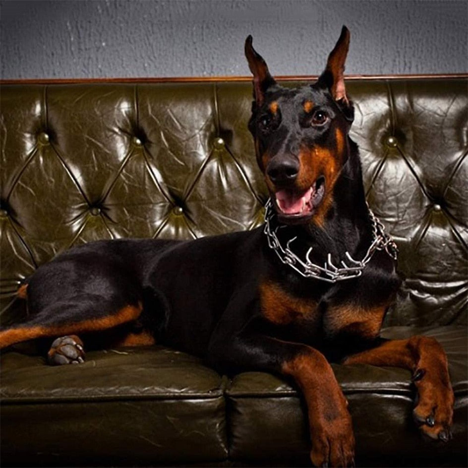 Verstellbares Hunde-Erziehungshalsband mit gummierten Zinken