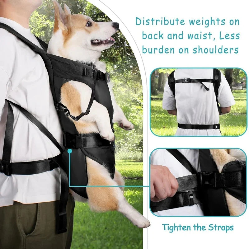 Vorwärtsgerichteter Hunde-Tragerucksack für Outdoor-Abenteuer