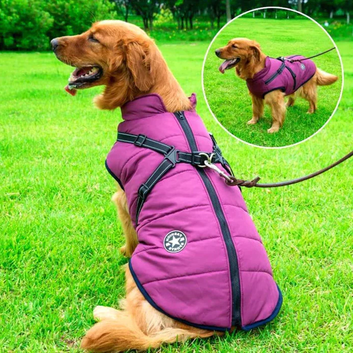 Wasserdichte Hunde-Winterjacke - Mit Sherpa-Fleece gefüttert - Integriertes Geschirr - Ideal für die kalten Monate