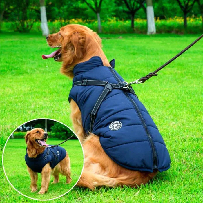 Wasserdichte Hunde-Winterjacke - Mit Sherpa-Fleece gefüttert - Integriertes Geschirr - Ideal für die kalten Monate