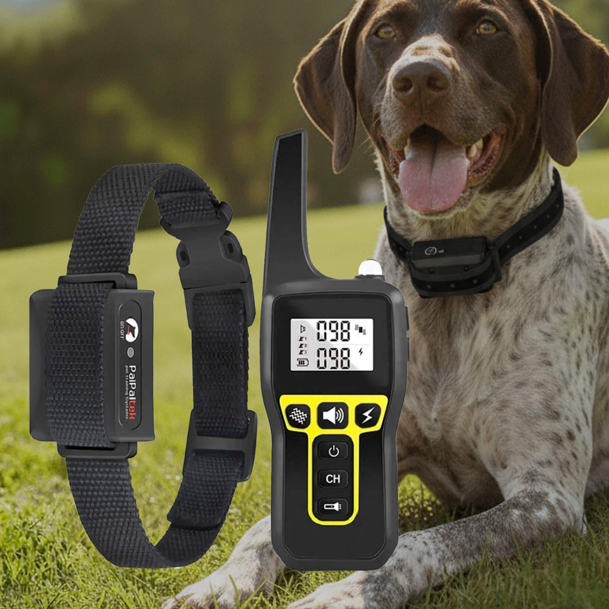 Wasserdichtes Hundetrainingshalsband mit 1000 m Reichweite – wiederaufladbar, mit Fernbedienung & verstellbar für kleine, mittelgroße und große Hunde