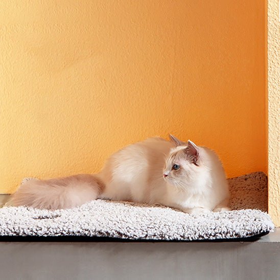 Weiches Katzen-Heizkissen